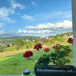 Wyborny Zakatek Appartement