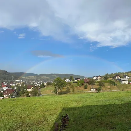 Daire Wyborny Zakatek *